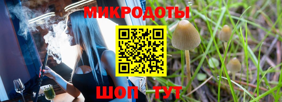 Галлюциногенные грибы Psilocybine cubensis Черняховск